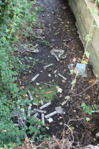 Wraysbury Drain at Douglas Lane